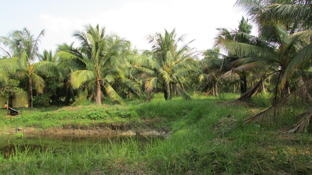 Orchard Fruit Farm Bungalow Phu Quoc Exteriér fotografie
