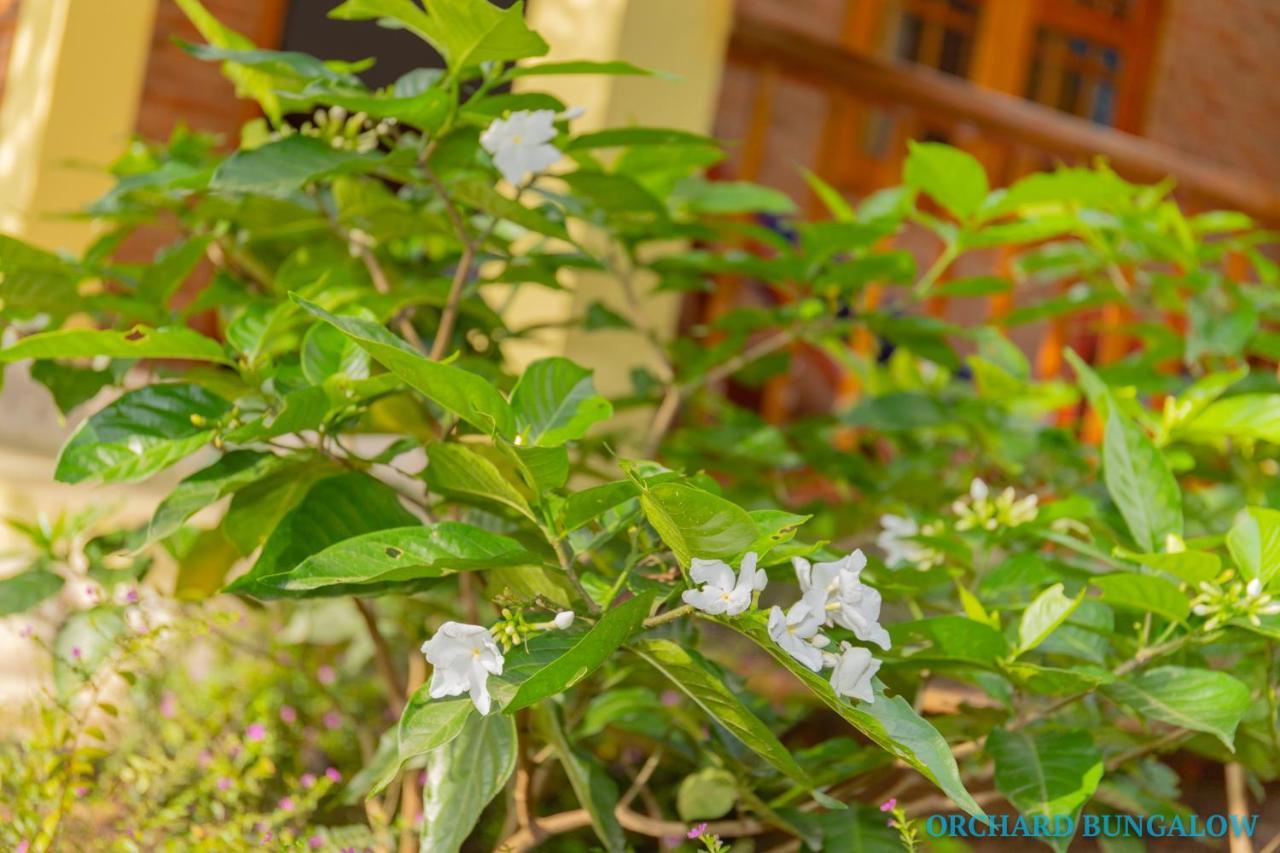 Orchard Fruit Farm Bungalow Phu Quoc Exteriér fotografie