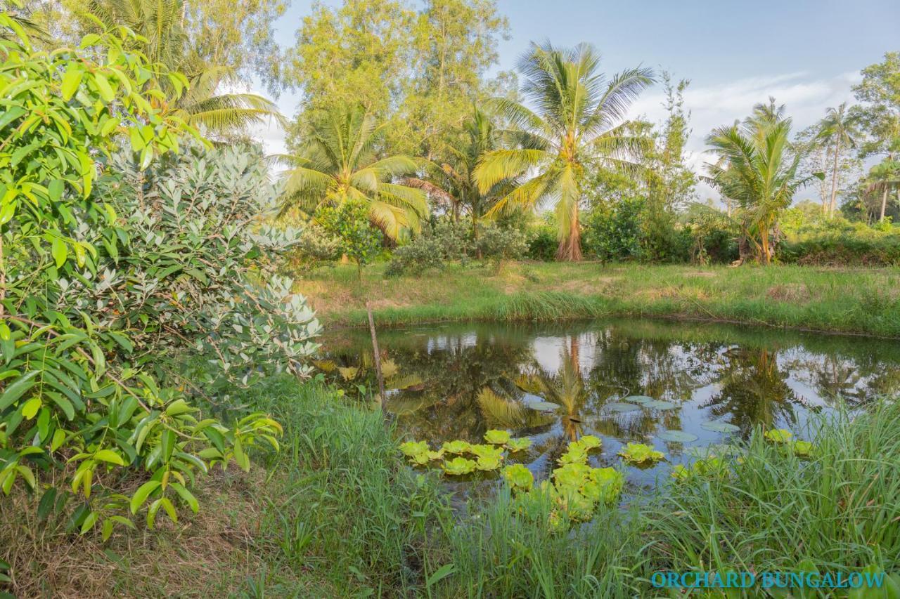 Orchard Fruit Farm Bungalow Phu Quoc Exteriér fotografie