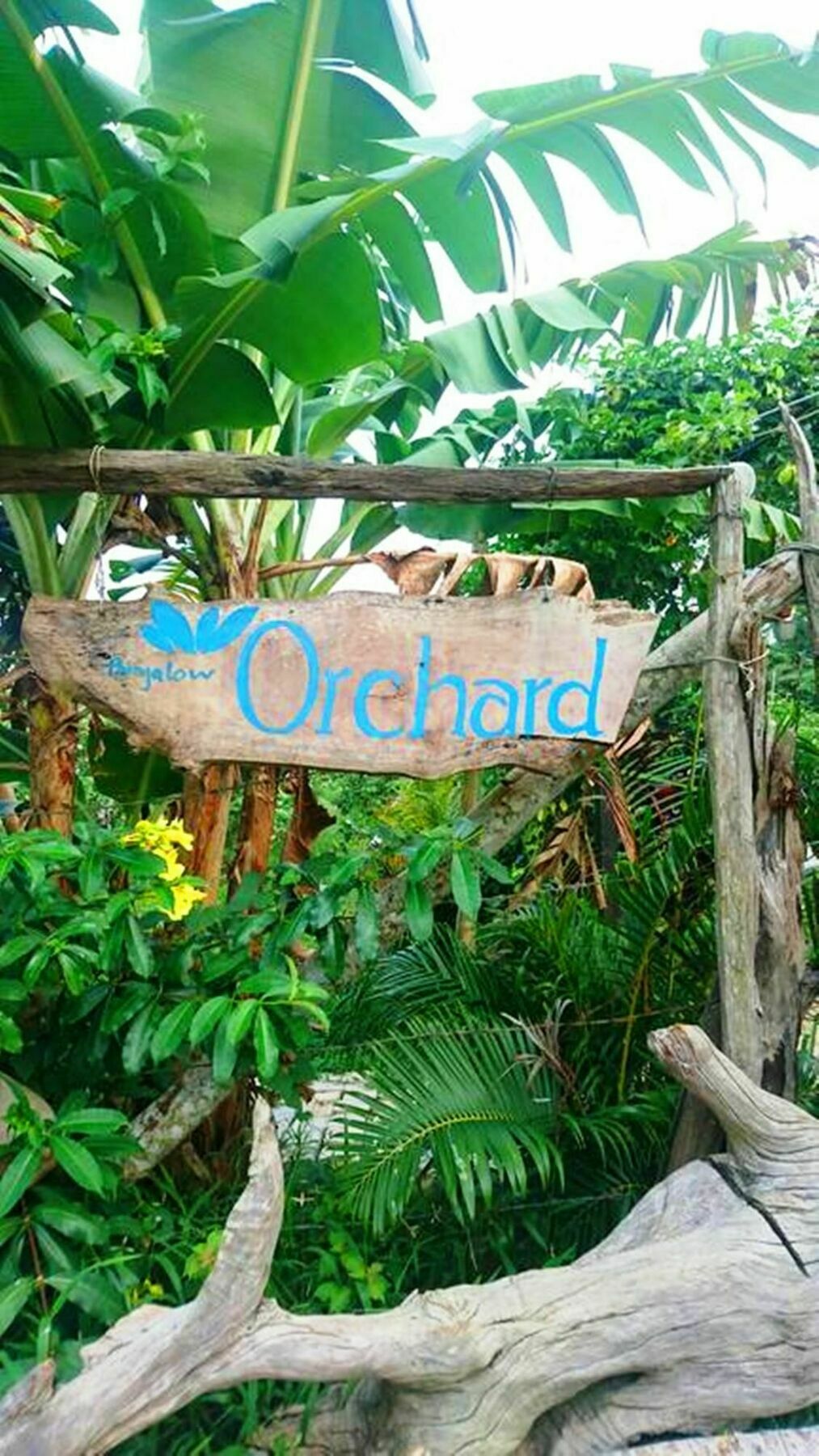 Orchard Fruit Farm Bungalow Phu Quoc Exteriér fotografie